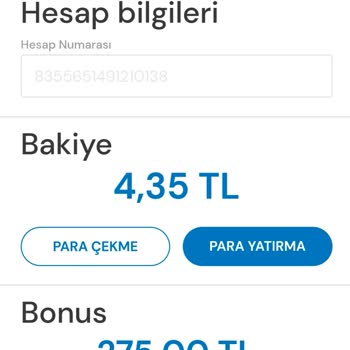 Milli Piyango Bonus Kullanım Sorunu