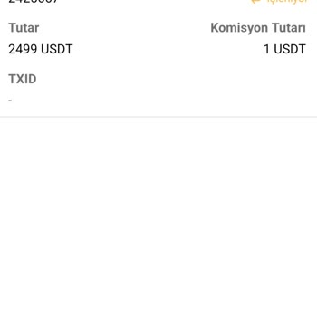 Bitci Borsasında İşlem Gecikmeleri Ve Müşteri Hizmetleri Sorunları