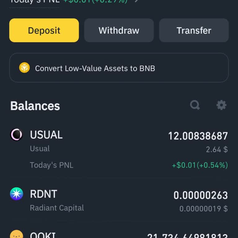 Kayıp Coinler Ve Görünmeyen Değerler Sorunu