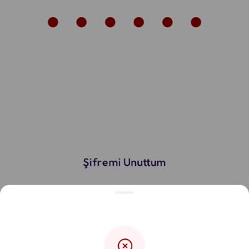 Param Uygulamasında Erişim Ve Müşteri Hizmetleri Sorunu