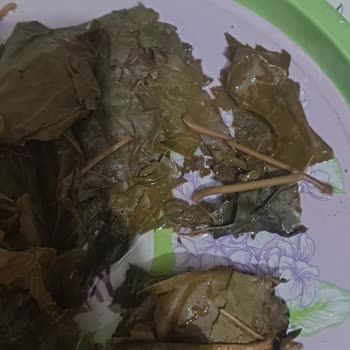 Hamilelik Döneminde Hayal Kırıklığı: Sarma Siparişi