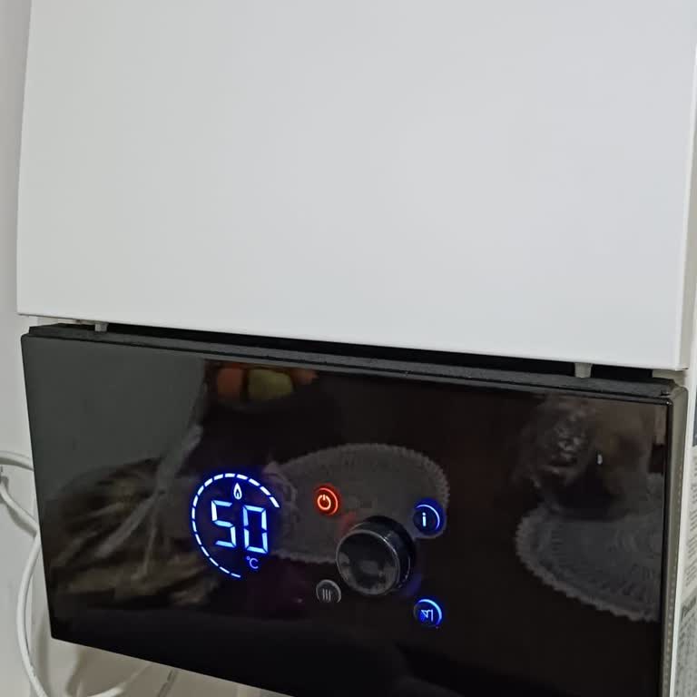 Daikin Kombi: Can Güvenliğini Tehdit Eden İlgisizlik