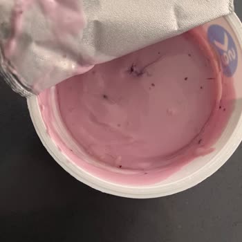 Sevdiğim Yoğurt Küflenmiş Çıktı