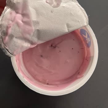 Sevdiğim Yoğurt Küflenmiş Çıktı