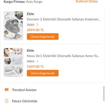 Bebek Beşiğinde Otomatik Sallanma Sorunu