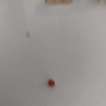 Pahalı Üründe Kalitesizlik Şoku