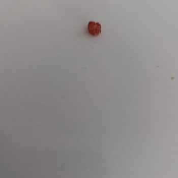 Pahalı Üründe Kalitesizlik Şoku