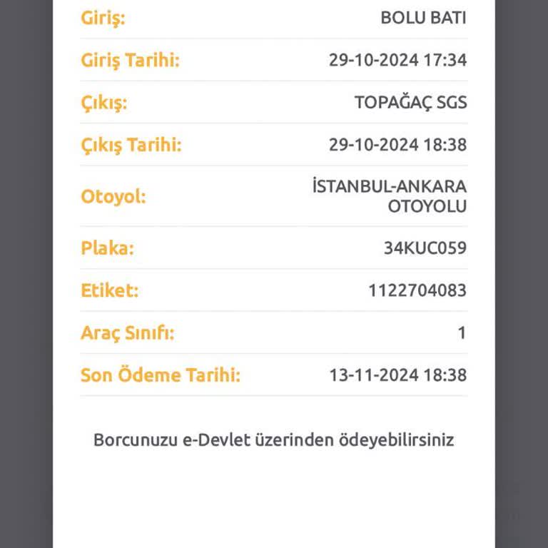 HGS Ödemesi Sonrası Cezalı Durumda Kalmak