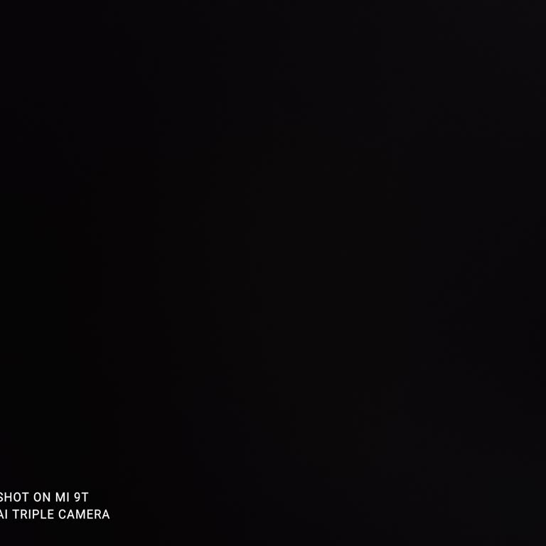 Hesap Erişimi Ve Para Çekme Sorunu