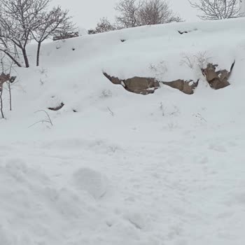 Hacılar Belediyesi'nin Yetersiz Karla Mücadelesi