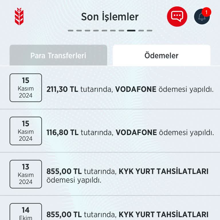 Fatura Görünmüyor, Hizmet Aksıyor: Numara Taşıma Çilesi