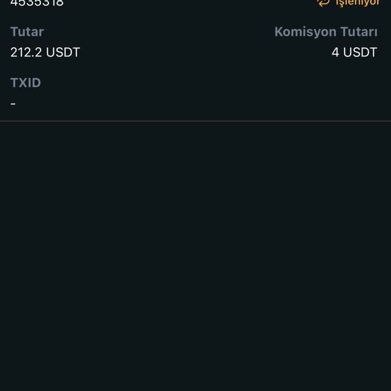 Bitci Borsa'da USDT Transferi Sorunu