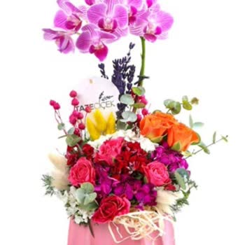 Geç Teslimat Ve Yanlış Ürün: Taze Çiçek'ten Hayal Kırıklığı