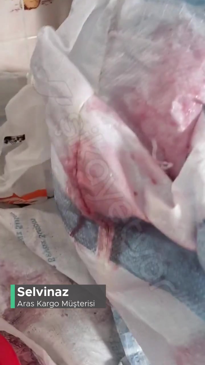 Aras Kargo Ücretli Gönderim Sonucu Koruyucu Paket Felaketi! videonun kapak resmi