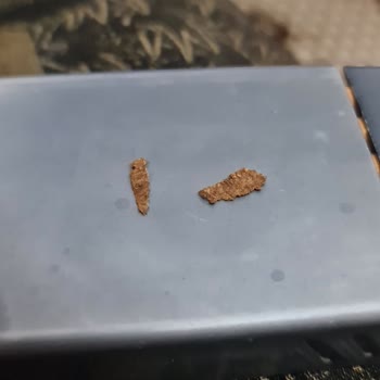 Tütün Ürününde Karton Parçaları Ve Tat Sorunu