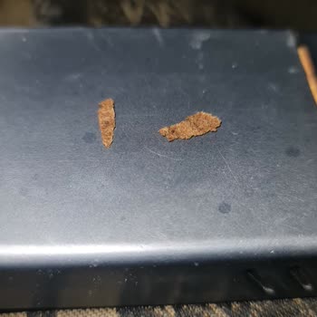 Tütün Ürününde Karton Parçaları Ve Tat Sorunu