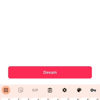TikTok Hesabına Erişim Sorunu Ve Destek Eksikliği