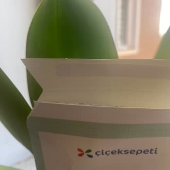 Çiçek Sepeti Van Şubesi: Solmuş Çiçek Ve İnatçı Tavır