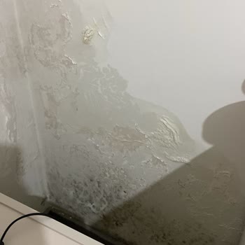 TOKİ'den Aldığımız Evde Su Sızıntısı Ve Hasarlar
