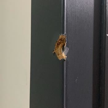 TOKİ'den Aldığımız Evde Su Sızıntısı Ve Hasarlar