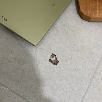 TOKİ'den Aldığımız Evde Su Sızıntısı Ve Hasarlar