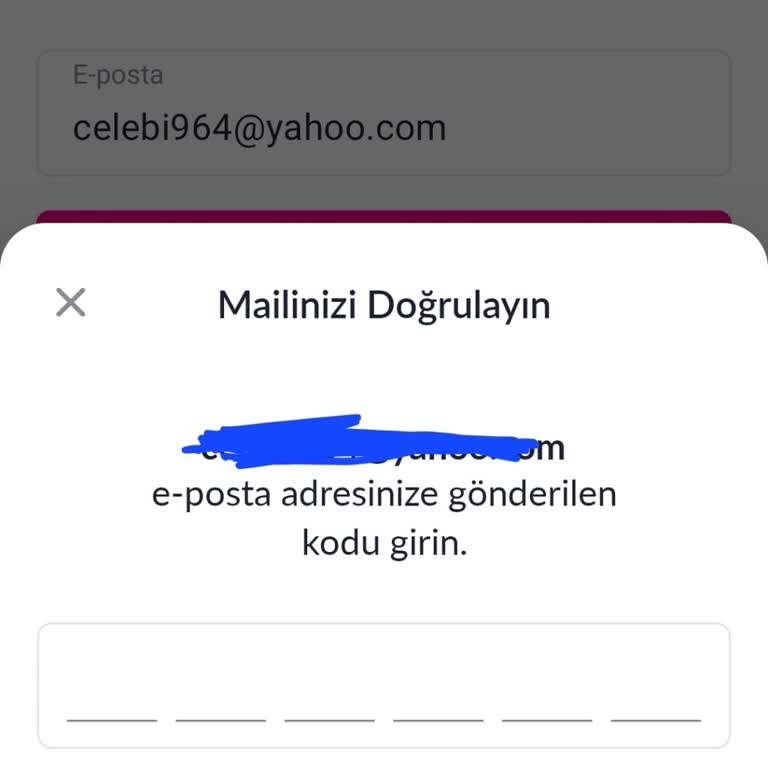 Giriş Yapılamayan Alışveriş Uygulaması