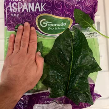 Kuzu Ispanak Paketinde Yanıltıcı Boyutlar