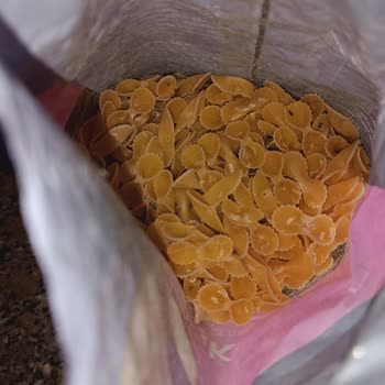 BİM'den Alınan Makarna Böceklenmiş Çıktı: Büyük Marketten Beklenmeyen Hata!