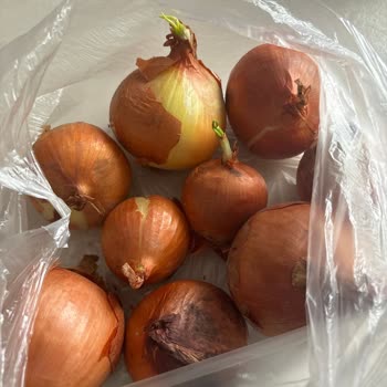 Migros Sanal Meyve Sebze Siparişlerinde Hayal Kırıklığı