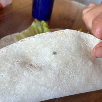 Küflü Lavaş: Sağlık Tehlikesi Ve Dikkatsizlik