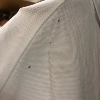 Beymen Club Tişört Kalite Sorunu