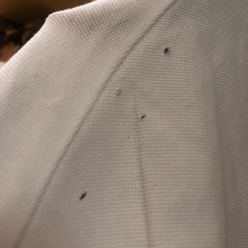 Beymen Club Tişört Kalite Sorunu