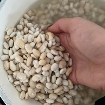 Kuru Fasulye Hayal Kırıklığı