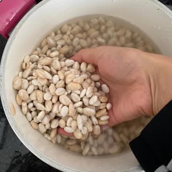 Kuru Fasulye Hayal Kırıklığı