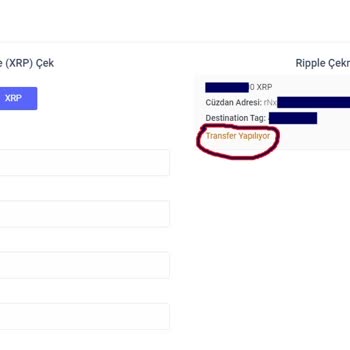 BitTurk Borsasında Güven Krizi: İşlemler Askıda