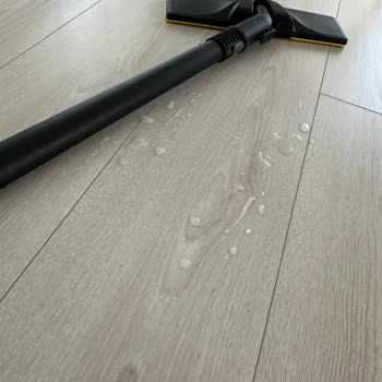 Karcher Buharlı Temizlik Makinesi Hayal Kırıklığı