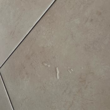 Dreame L10S Pro Ultra: Beklentileri Karşılamayan Performans