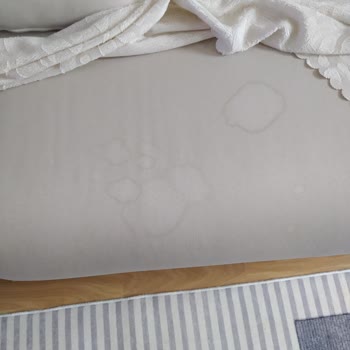 Her Su Damlasında Tüm Kanepeyi Silmek Zorunda Kalmak!