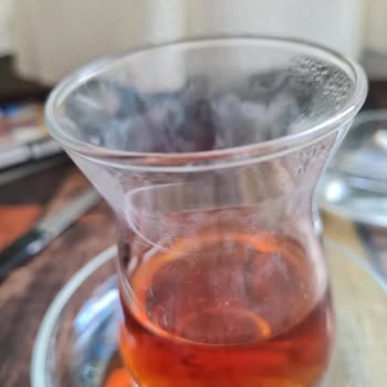 Arçelik Bulaşık Makinesi Ve Servis Kabusu