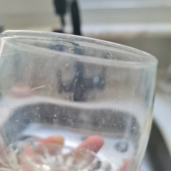 Arçelik Bulaşık Makinesi Ve Servis Kabusu