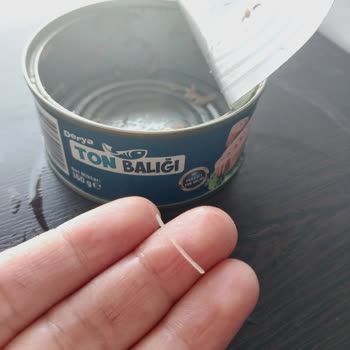 Derya Ton Balığı Konservesinde Tehlikeli Kılçık Sorunu