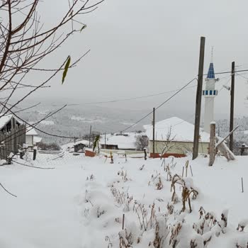 Enerjisa Başkent Perakende 3 Gündür Elektrik Yok!