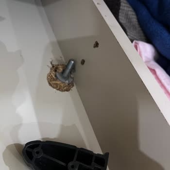 Eksik Vidalar Nedeniyle Kırılan Oturma Grubu