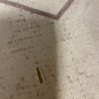 Kalitesiz Halılar Ve İlgisiz Müşteri Hizmeti