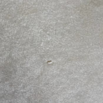 Kalitesiz Halılar Ve İlgisiz Müşteri Hizmeti