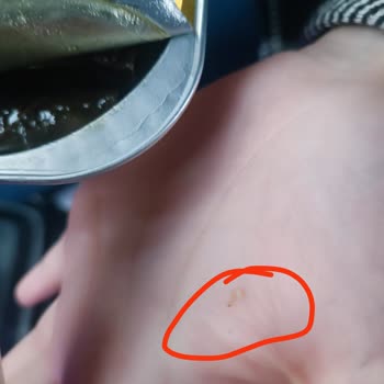 A101 Yaprak Sarmasında Canlı Kurt Şoku