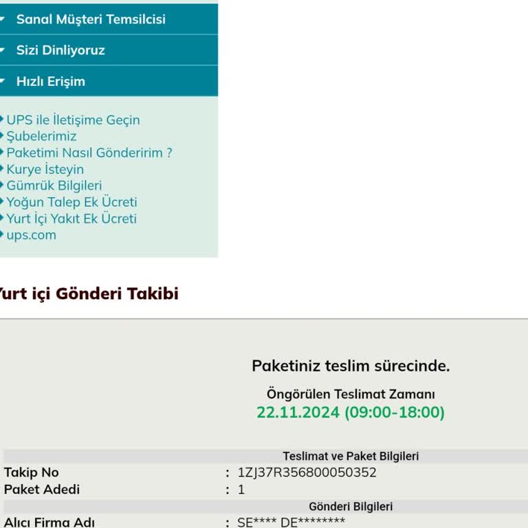 UPS Türkiye'nin Teslimat Sorunu