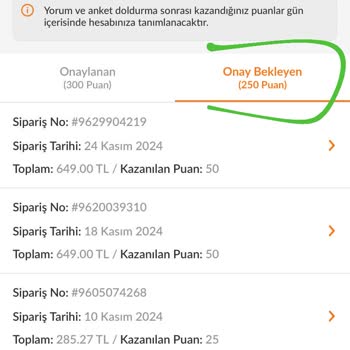 Trendyol'da Puan Onayı Sorunu