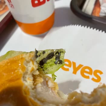 Hamburgerde Toprak Parçası: İnsan Sağlığı Tehlikede!