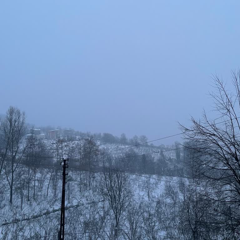 Alo 186 Bedaş Çağrı Merkezi Elektrik Şikayeti